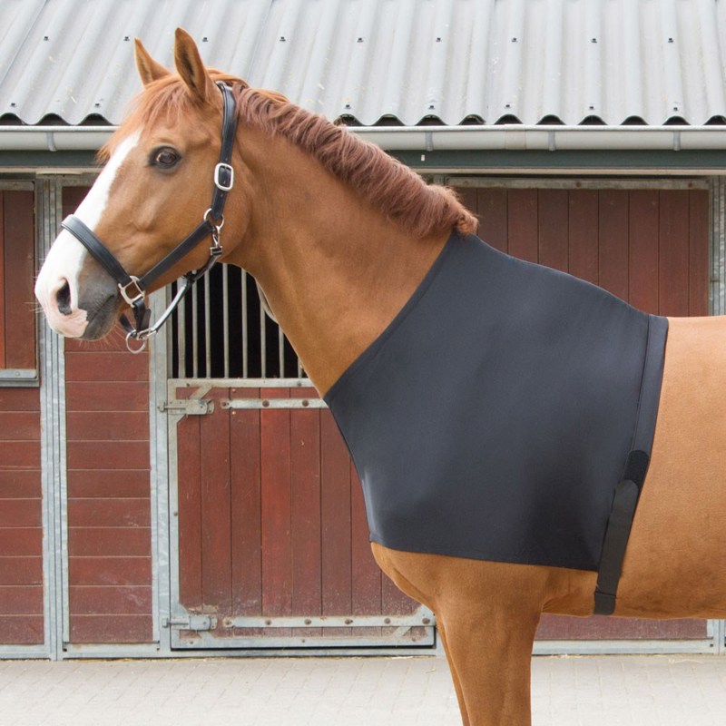 BORSTBESCHERMER ELASTIC M