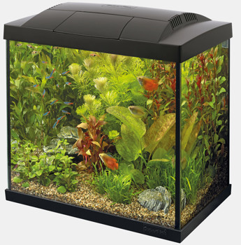 START 30 TROPICAL KIT BLACK
