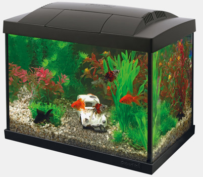START 20 GOLDFISH KIT BLACK