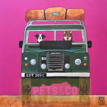 Landrover Defender 11