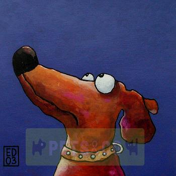 Braafhondje