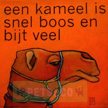 Kameelboos