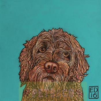 Labradoodle Spoodle