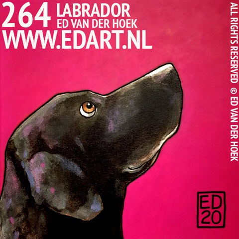 LABRADOR RETRIEVER