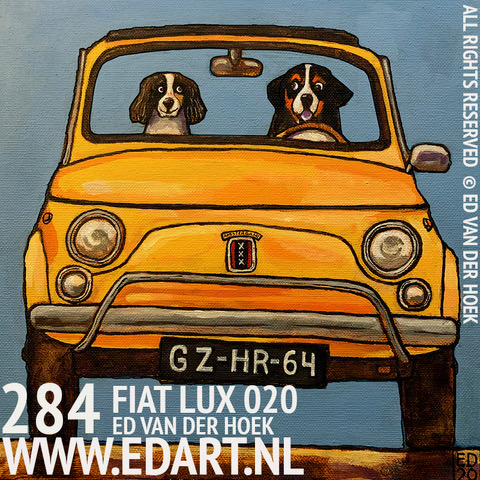 FIAT LUX 020