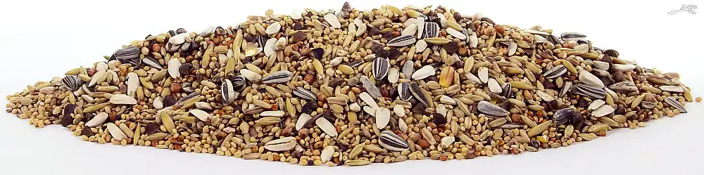 Mulder Grote Parkiet 1 Kg