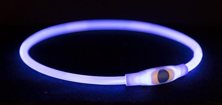 Halsband Flash Lichtgevend Blauw 65X0,8Cm Usb