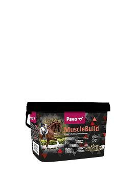 Pavo Musclebuild 3 Kg