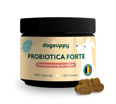 DOGSUPPY PROBIOTICA FORTE KIP 60 ST