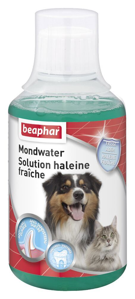BEAPHAR MONDWATER HOND/KAT 250 ML