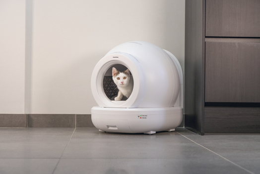 BZ AUTO KATTENBAK MOEZA WIT 57X56