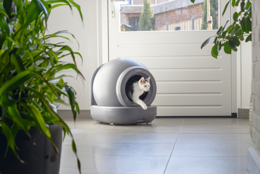 BZ AUTO KATTENBAK MOEZA GRIJS 57X56