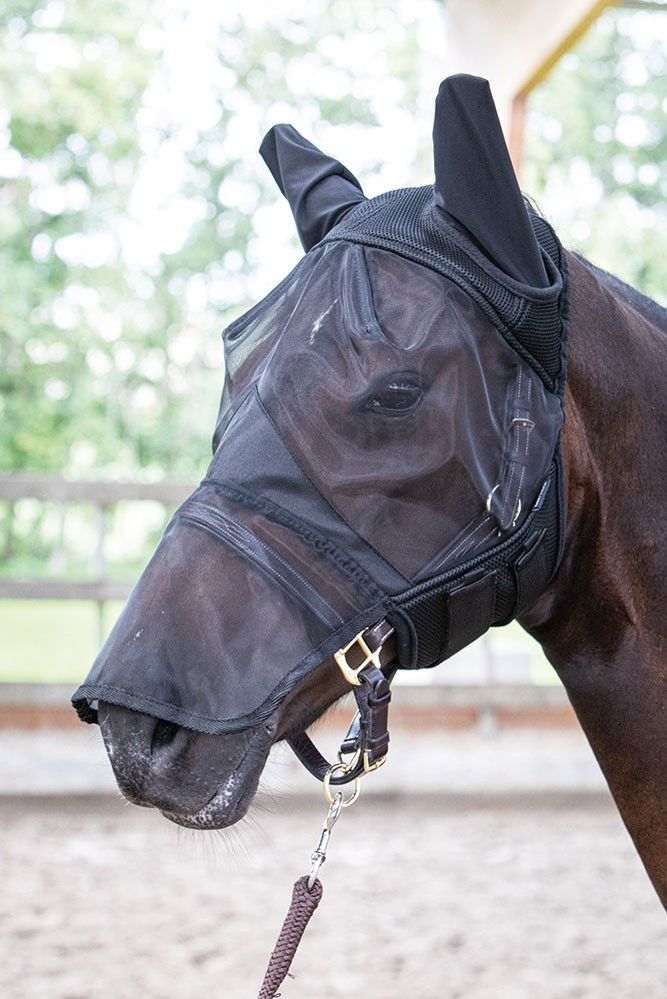 VLIEGENMASKER FLYSHIELD MET NEUSSTUK XL