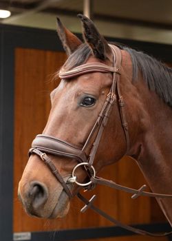 Hoofdstel Soft Bombastic Full Bruin