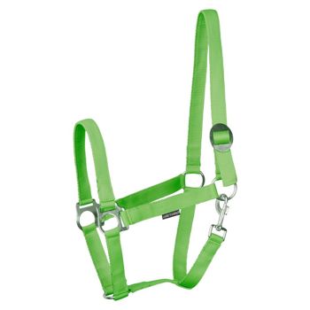 HALSTER ECONOMY PONY LIME