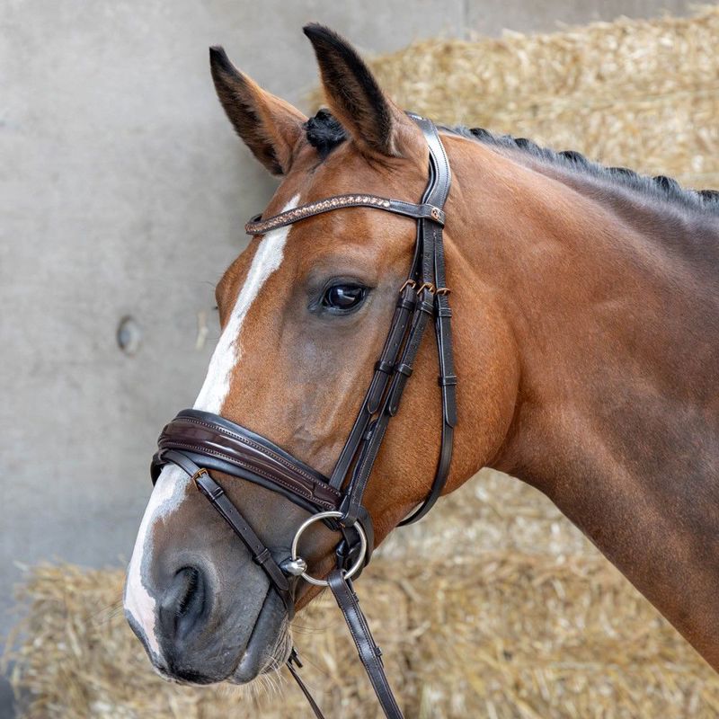 HOOFDSTEL COPPER FULL BRUIN