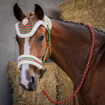 HALSTERSET EN MUTS CHRISTMAS FULL ROOD