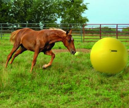 Maximus Power Play Ball Geel 75 Cm