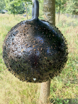 HORSE FLY TRAP BALL ZWART 45 CM