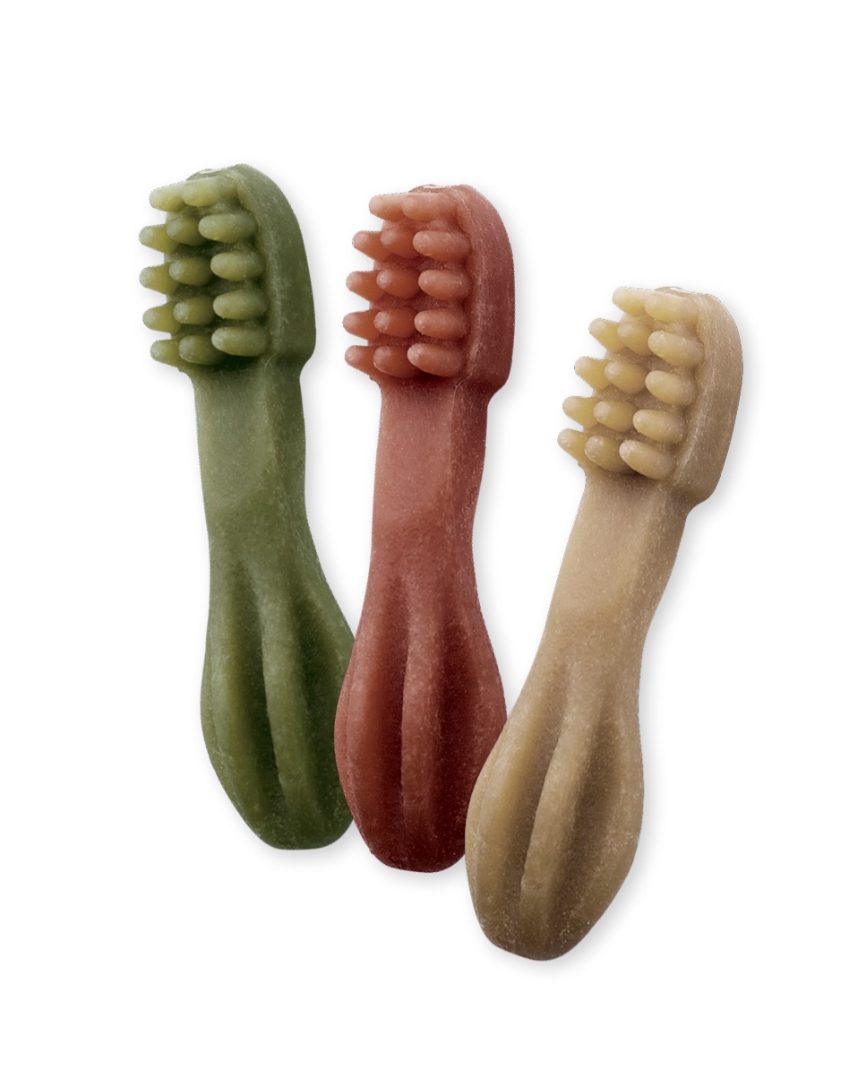 Toothbrush X-Small 