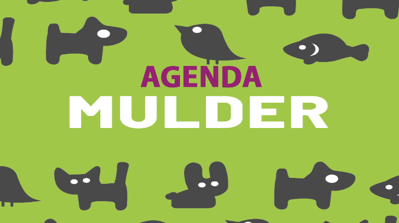 Agenda
